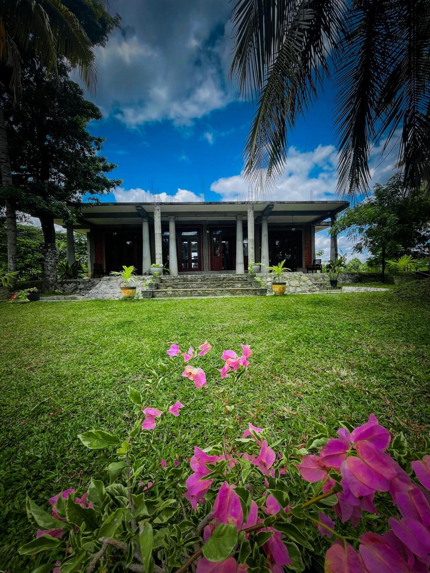 The Lotus Apartamento *